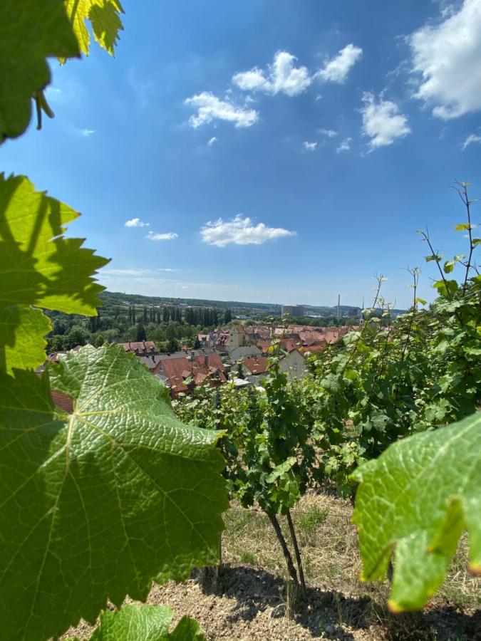 Ferienwohnung Wohlsein Frickenhausen am Main Eksteriør bilde